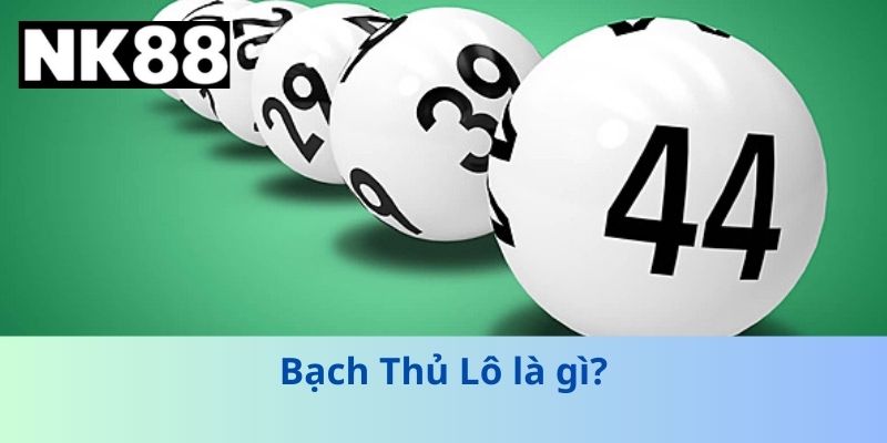 Bạch Thủ Lô là gì?